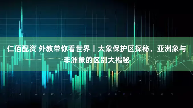 仁佰配资 外教带你看世界｜大象保护区探秘，亚洲象与非洲象的区别大揭秘